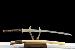 Alternative view of Jadestrahlen - Handgeschmiedetes Katana aus 1065 Kohlenstoffstahl