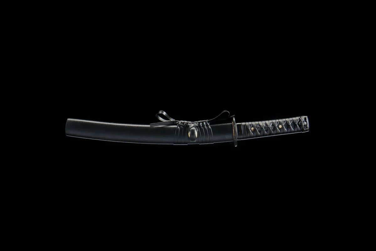 Phantomklage - Handgeschmiedetes Tanto aus High Carbon Steel - Image 11