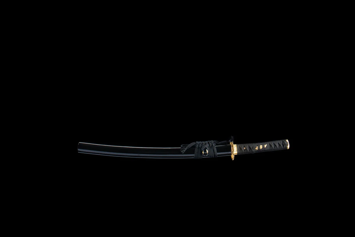 Schwarzgold-Fächer - Handgeschmiedetes Wakizashi aus 1065 Kohlenstoffstahl - Image 3