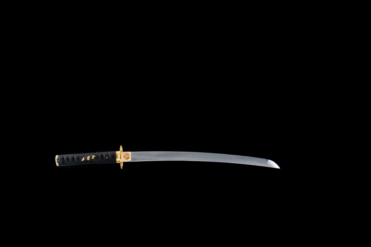 Schwarzgold-Fächer - Handgeschmiedetes Wakizashi aus 1065 Kohlenstoffstahl - Image 4