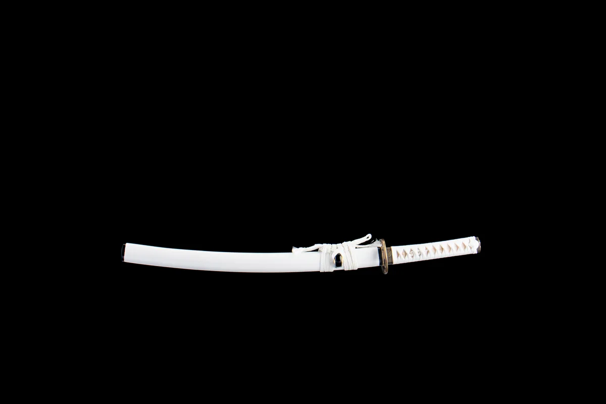 Platinschneide - Handgeschmiedetes Wakizashi aus 1065 Kohlenstoffstahl - Image 11